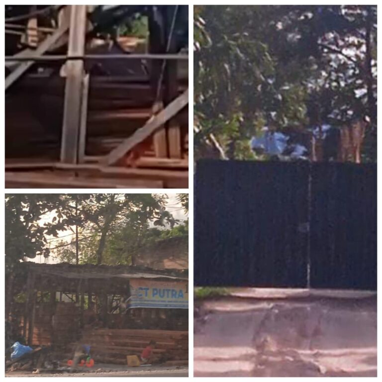 IMG-20251121-WA0057(1)