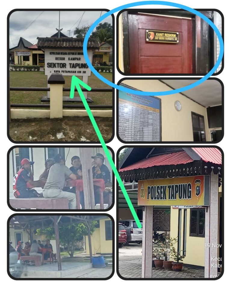 IMG-20251121-WA0072(1)