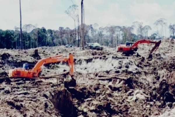 IMG-20260119-WA0111(1)